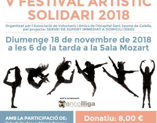 V Festival artístic solidari
