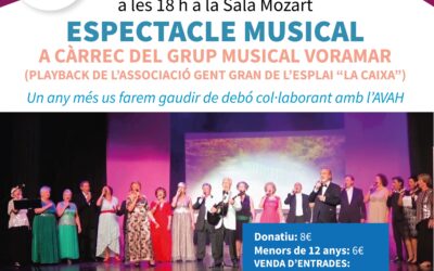 ESPECTACLE MUSICAL